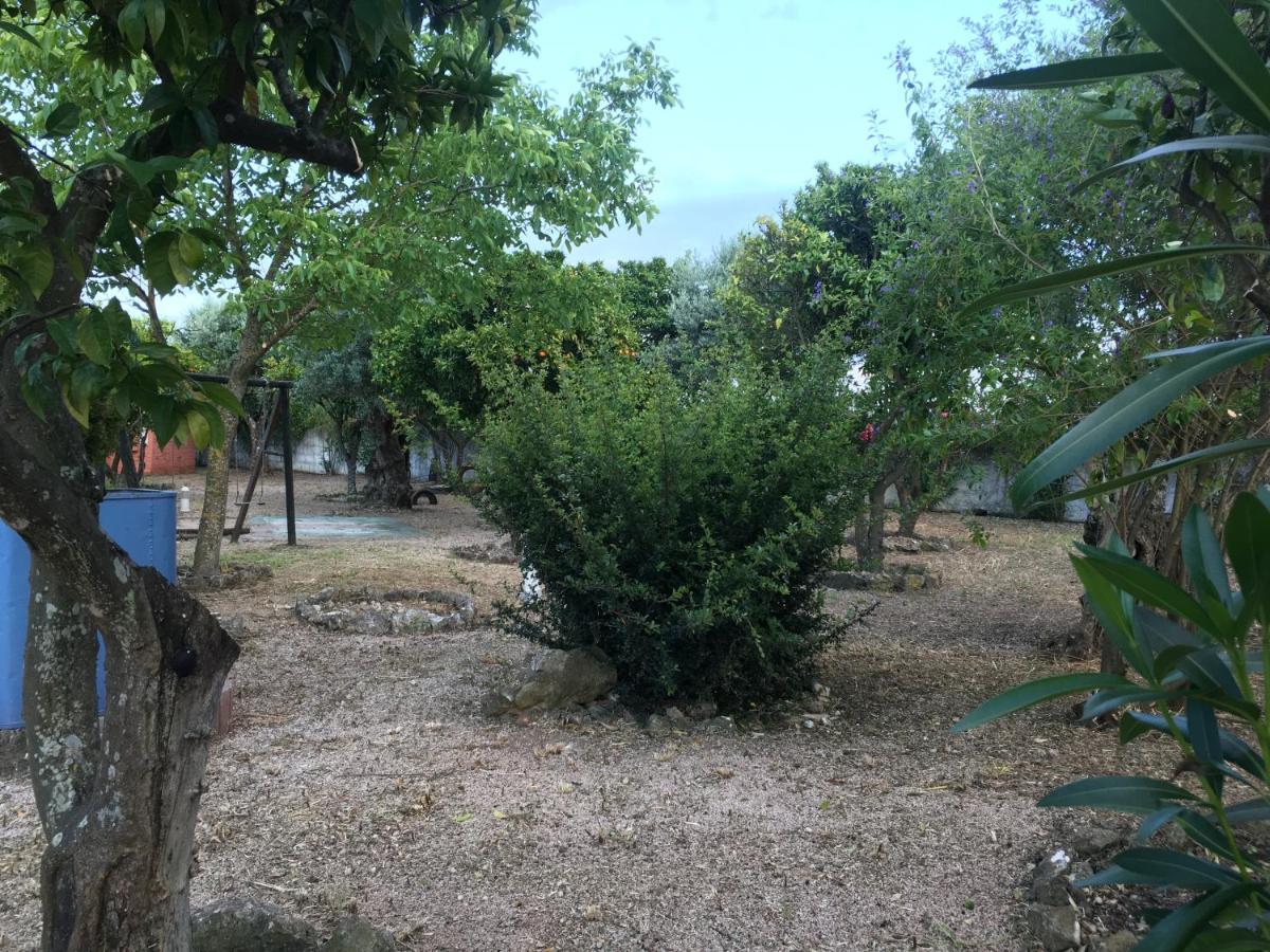 Quinta Do Lagar De Sao Jose Guest House Paialvo Ngoại thất bức ảnh
