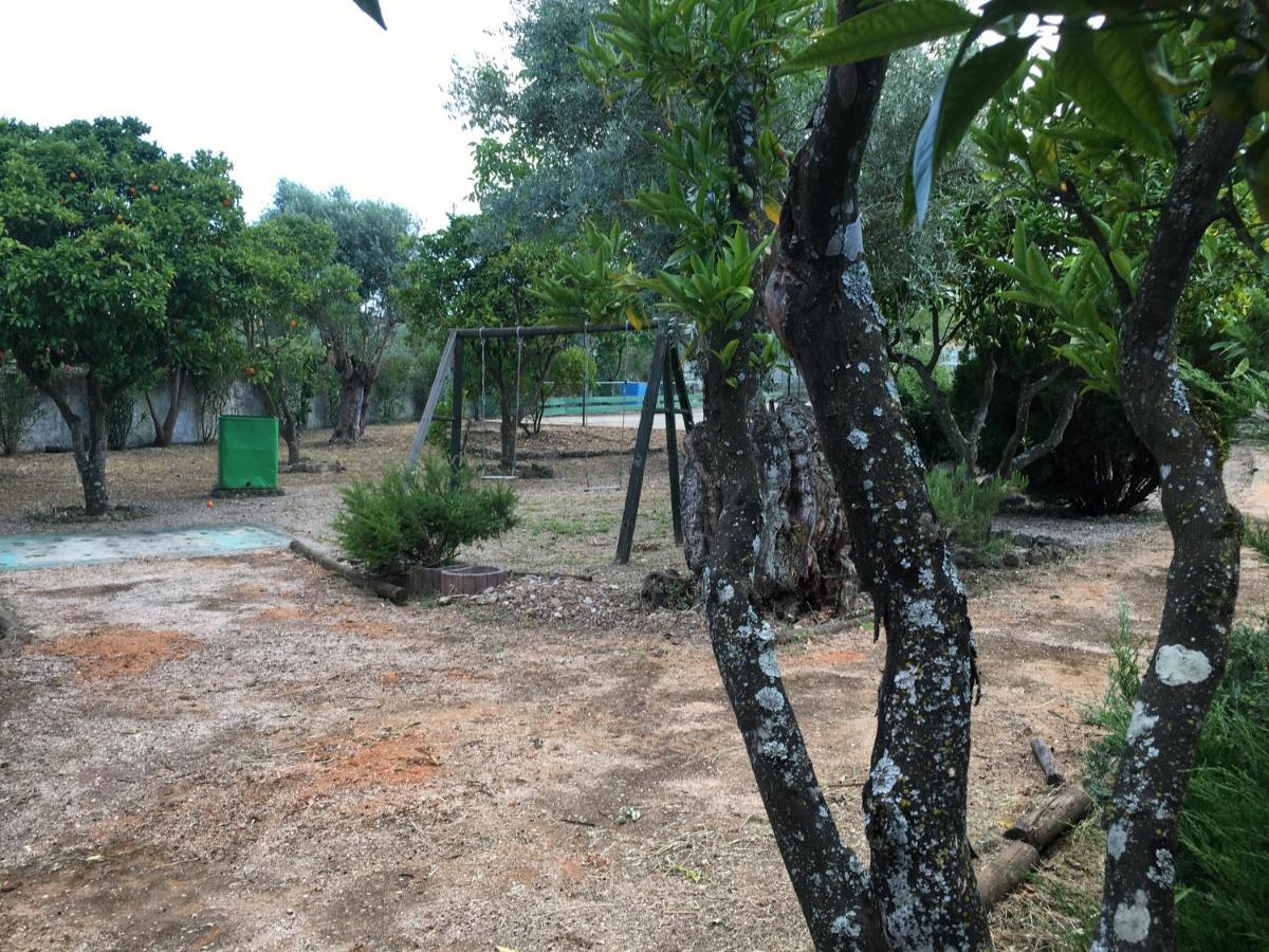 Quinta Do Lagar De Sao Jose Guest House Paialvo Ngoại thất bức ảnh